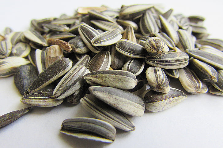 sunflower seeds, bird seed, cores