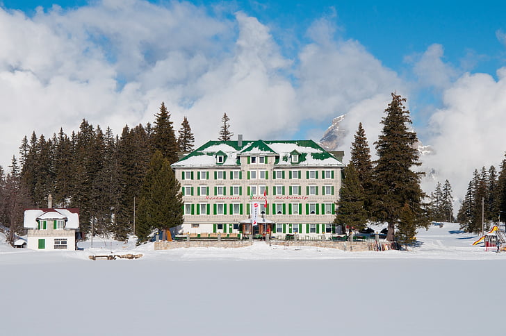 Hotel seebenalp, zăpadă, copaci, iarna, confortabil, chill, natura