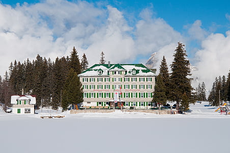 Hotel seebenalp, śnieg, drzewa, zimowe, Cozy, Chill, Natura