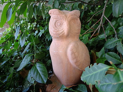 owl, know, wisdom, protection, northeast, south east, finance