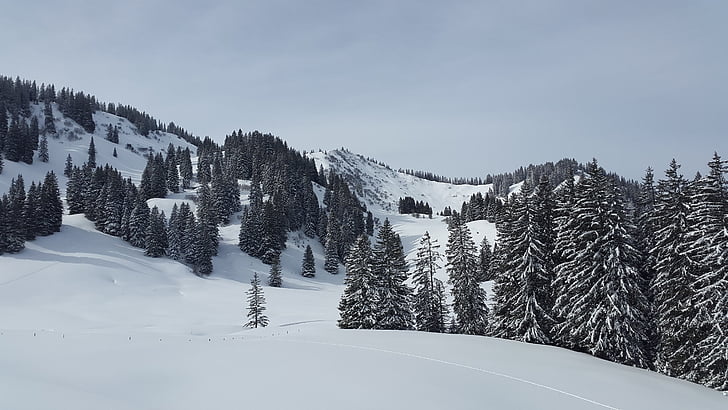 kepala lembu besar, Allgäu, Lembah gunzesrieder, musim dingin, salju, olahraga musim dingin, puncak