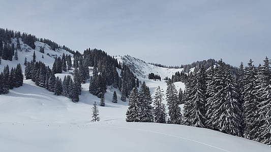 velký vůl hlava, Allgäu, gunzesrieder údolí, Zimní, sníh, Zimní sporty, Summit