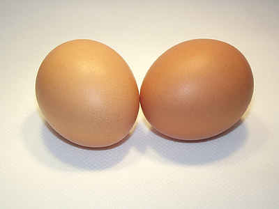 ägg, snäckor, påsk, kyckling, brun, rå, friska