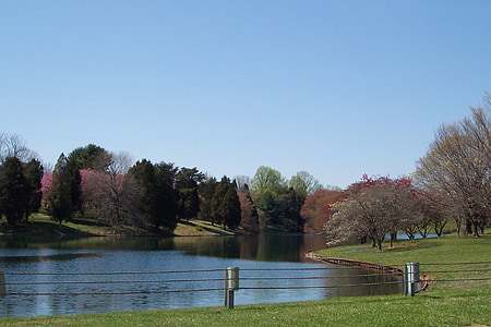 rybník, Park, pokojný, letné, jazero, vody, Príroda