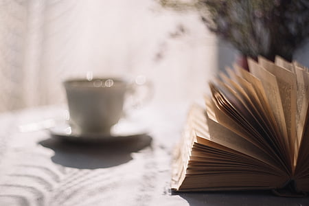 llibre, cafè, Copa, coneixement, literatura, macro, tassa