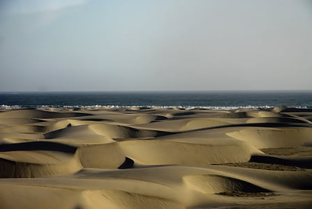 sand, dunes, desert, sea, shore, coast, nature
