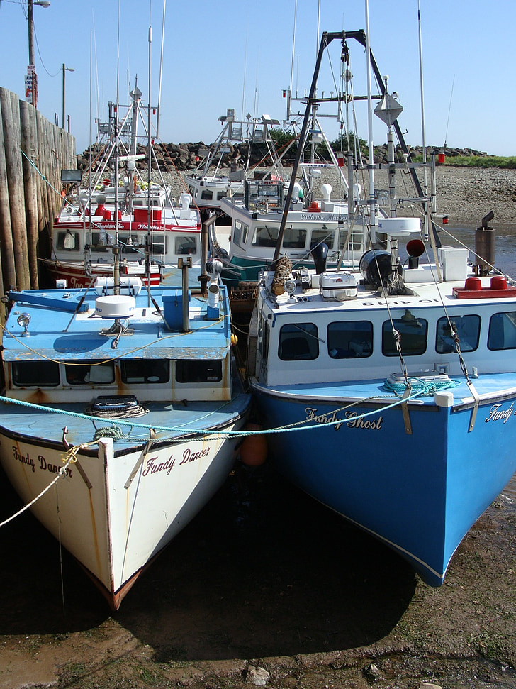 bådene, Bay of fundy, tidevand ud, sommer, stærke skygger, Harbor, Ocean