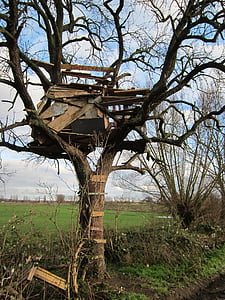 tree house, deteriorated, old, abandoned, tree, building, weathered