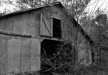 barn, building, farm, abandoned, old, rustic, black and white