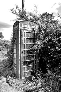 telefon, träd, Irländska, Irland, Box, röd, svart