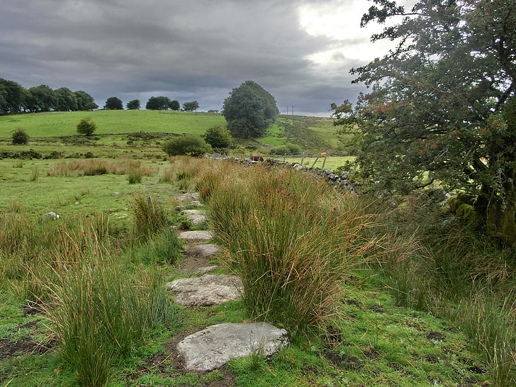 Dartmoor, Anglija, Lielbritānija, Devon, ainava, tīreli, Nacionālais parks