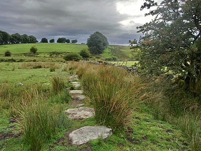 Dartmoor, Inggris, Inggris, Devon, pemandangan, Moor, Taman Nasional
