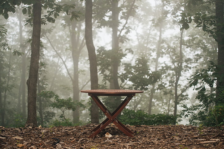 пейка, таблица, Открит, градинска мебел, Градина, природата, парк