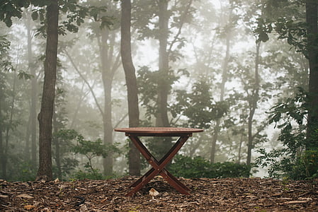 bench, table, outdoor, outdoor furniture, garden, nature, park