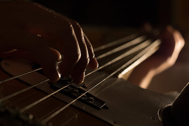 person, playing, electric, bass, guitar, string, hand