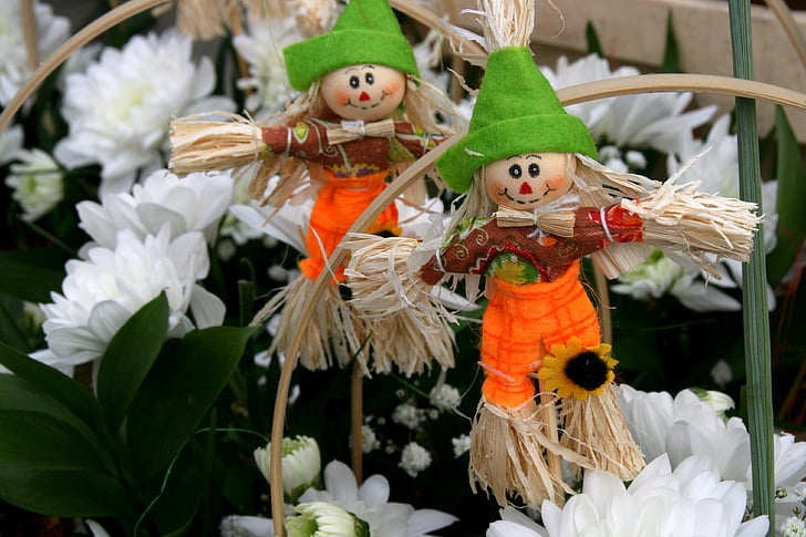 scarecrow, couple, flower, white, spring