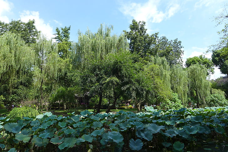 Градина на скромния администратор, Есен, езеро