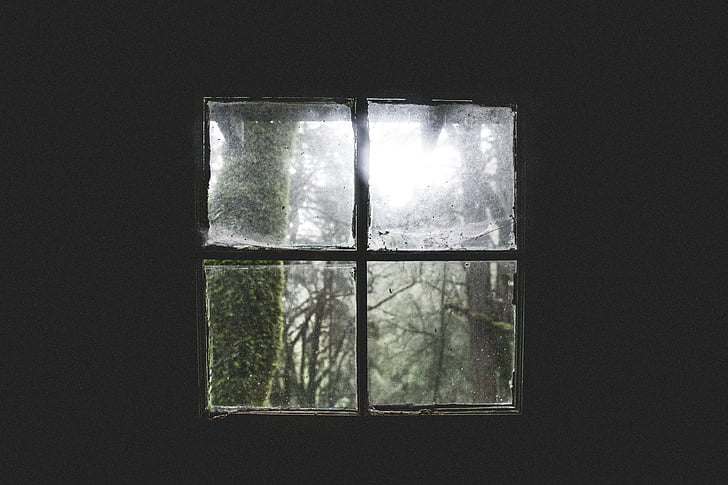 dark, dirty, forest, glass, window