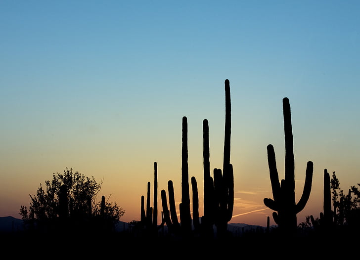 dusk, silhouette, desert, landscape, sunset, southwest, sky
