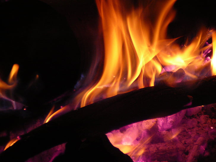 api, api, api unggun, kayu, membakar, menyala, panas