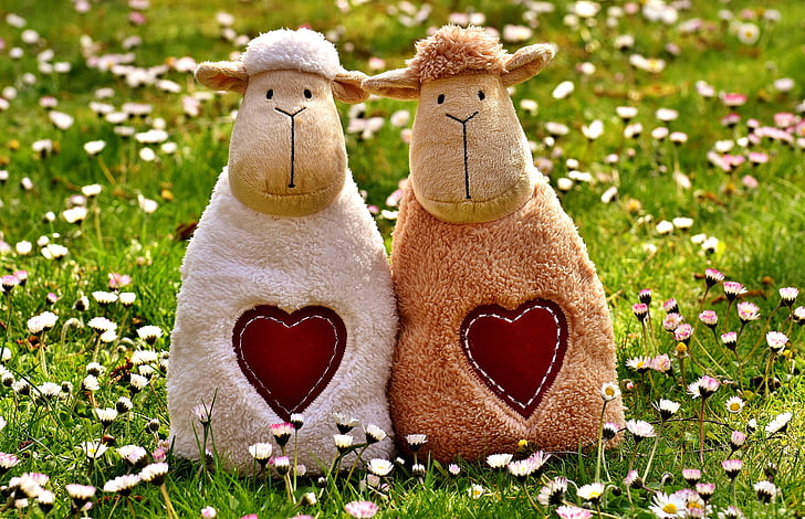 lambad, Armastus, südame, Ystävänpäivä, Nunnu, koos, Naljakas
