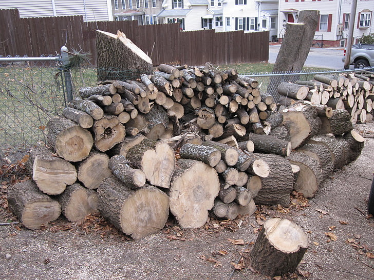 kayu, tumpukan kayu, kayu bakar, pohon
