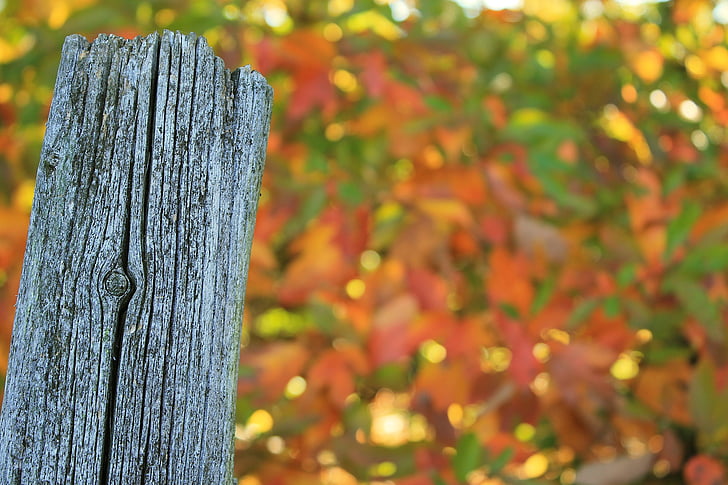 fence post, weathered, worn, split, autumn, color, wooden