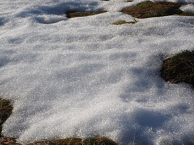 meadow, snow, snow melt, nature, winter, outdoors