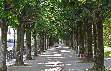 Lugano, promenady nad jeziorem, Avenue, Ticino, Szwajcaria, ogrodzenia, kutego żelaza