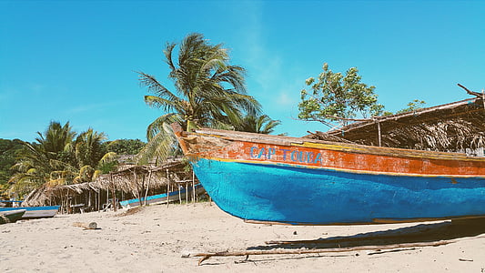 paisagem, fotografia, barco, areia, árvores, Tropic, embarcação náutica