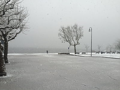 zăpadă, iarna, Lacul, ceaţă, gheata, rece, peisaj