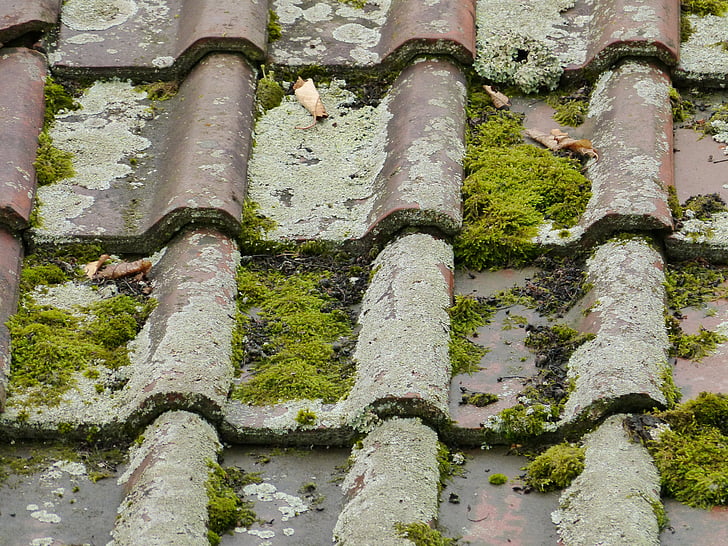 dachu, dachówki ceramiczne, stary, Mech, splot