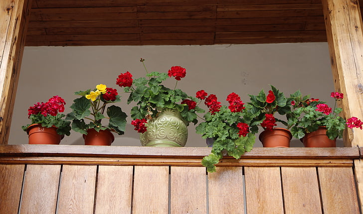 blomster, gryder, vindue, rustik, arrangement
