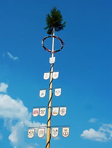 γαϊτανάκι, δέντρο, Βαυαρία, βετούλης (σημύδας), προσαρμοσμένη, έθιμα, συνηθισμένος