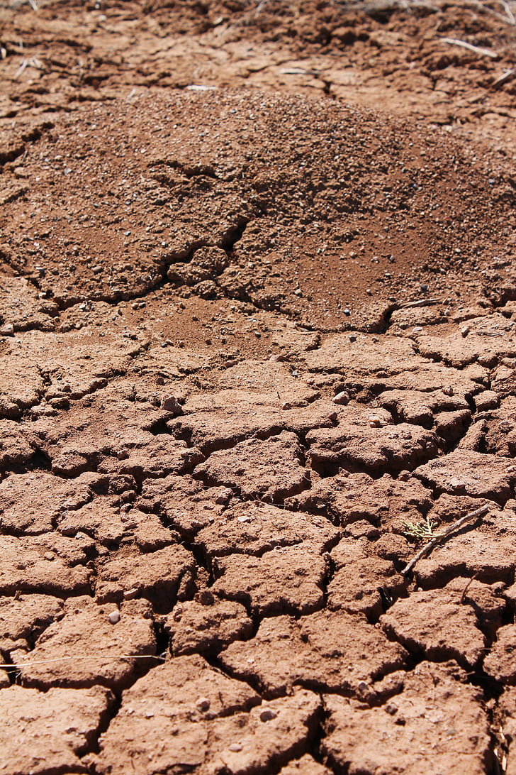 ant hill, cracked earth, ground, soil, parched soil, crack, land