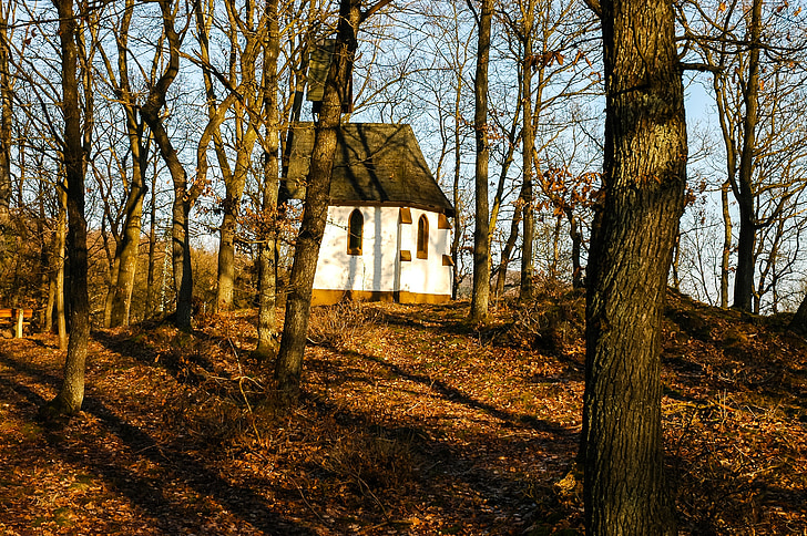 kápolna, kis templom, őszi erdő