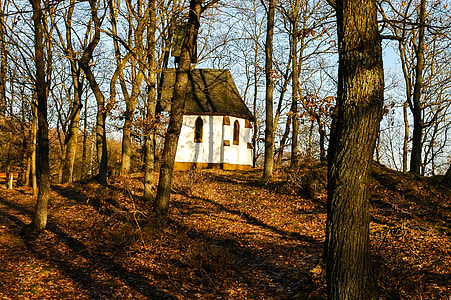 kapell, liten kyrka, hösten skogen
