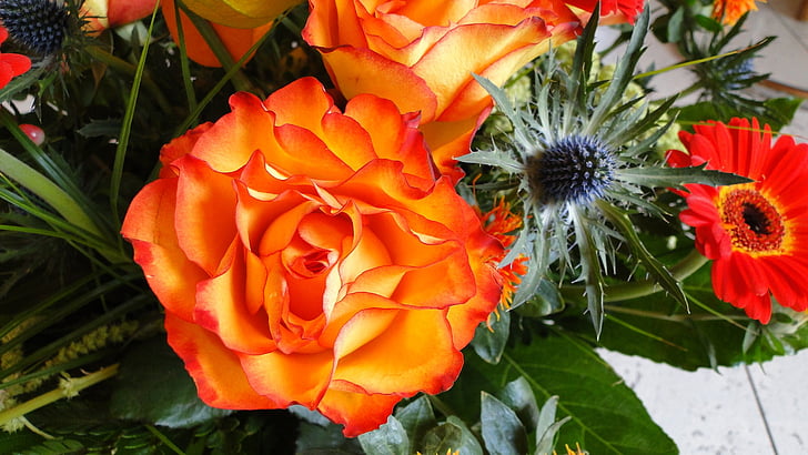 Rose, fleurs, Strauss, Bloom, orange