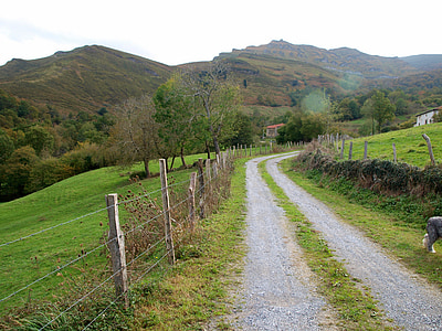 path, nature, landscape, mountain road, rural, trail, field