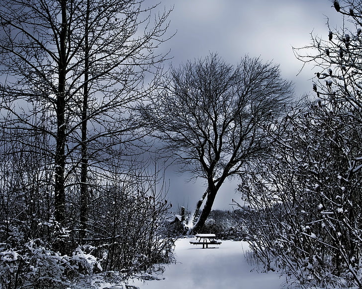 paisagem de inverno, banco de neve, céu escuro
