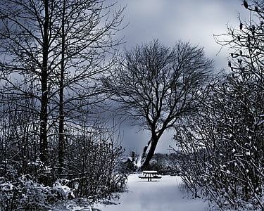 冬景色, 雪に覆われたベンチ, 暗い空
