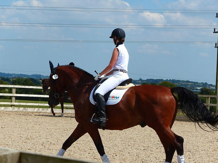 horse, horserider, equine, horseriding, competition, dressage, rider