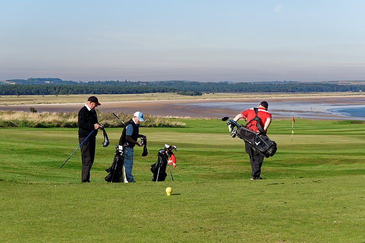 golfeurs, hommes, gens, sacs de golf, clubs de golf, paysage, paysage