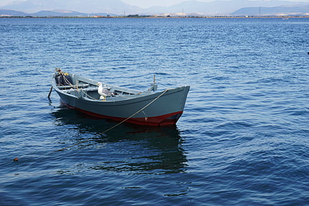 boot, zee, blauw, kleuren, Seagull, boten, water