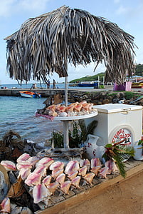 souvenir, schelpen, Conch, tropische, water, zeehaven, kitscherige