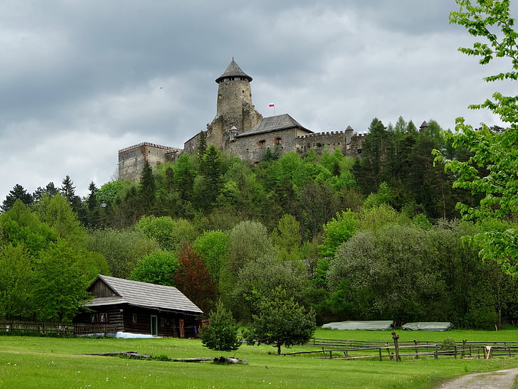 vieux lubovnia, Slovaquie, Château, le Musée, le château fort de spiš, architecture, Église