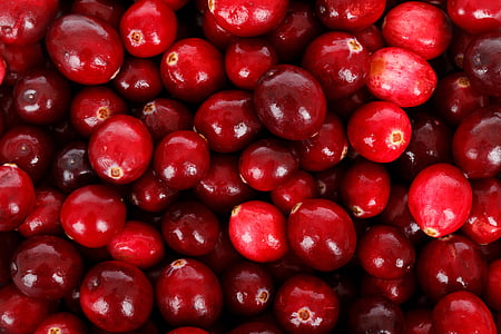 backdrop, background, berry, cranberry, diet, eating, food