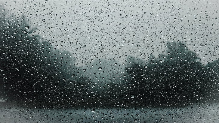raindrops, raining, rain, wet, water, weather, nature