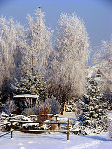 winter, village, garden terrace, frost, snow, nature, tree