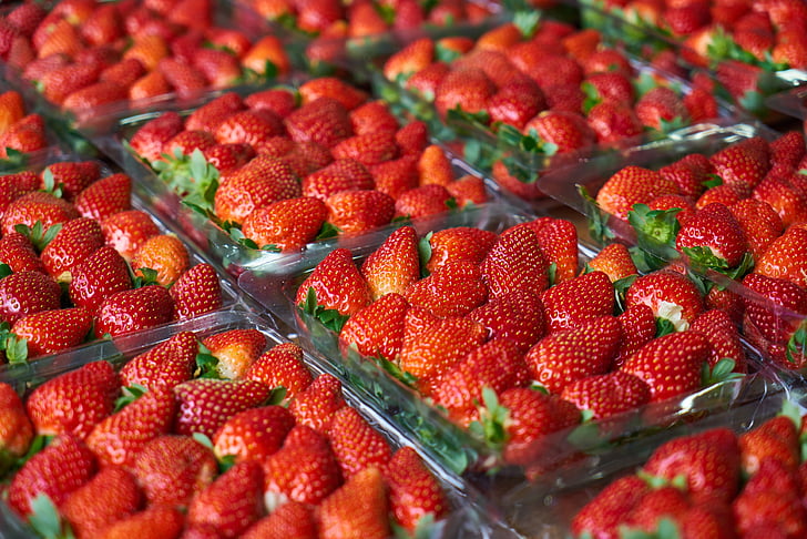 fraise, fruits, frais, belle, rouge, dimanche, jardin